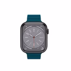 Immagine di CELLY WBANDMAG - Apple Watch Band 42/44/45mm WBANDMAGGNLG