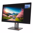 Immagine di P32ud-40