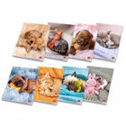 Immagine di Cf10 maxi dolcicucc ass 80g 42f - a