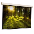 Immagine di Telo per videoproiettori manuale a parete/soffitto 1:1 no 296 cm 296.00000 SOPAR Manuale Platinum 30