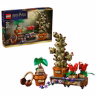 Immagine di Costruzioni LEGO Piante di erbologia di Hogwarts 76474