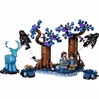 Immagine di Costruzioni LEGO Foresta Proibita: Expecto Patronum 76475