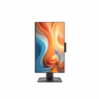 Immagine di Pro mp245pdg e14