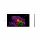 Immagine di Tv 77" uhd 4K (3840x2160) LG ELECTRONICS 77 OLED EVO AI G6 WALL 4K ULTRA HD WEBOS26 OLED77G64LW.API