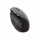 Immagine di ACER ACER SMART FIT VERTICAL MOUSE HP.EXPBG.020
