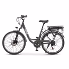 Immagine di J5 pro 36v10ah disc brake grey