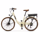 Immagine di J5 pro 36v10ah disc brake white