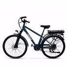Immagine di E-bike 36v10ah 28x1.75p - j6