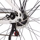 Immagine di Ebike 36v13ah 28x1.75p - j7 white