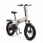 Immagine di E-bike 36v13ah 20x4p - x10 grey