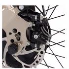 Immagine di E-bike 36v13ah 20x4p - x10 grey