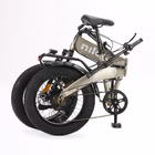 Immagine di E-bike 36v13ah 20x4p - x10 grey