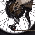 Immagine di E-bike 36v13ah 20x4p - x10 grey