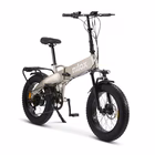 Immagine di E-bike 36v13ah 20x4p - x10 grey