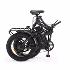 Immagine di E-bike 36v13ah 20x4p - x8 pro black