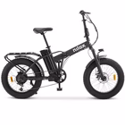 Immagine di E-bike 36v13ah 20x4p - x8 pro black