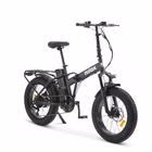 Immagine di E-bike 48v13ah 20x4p - x8 ultra