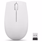 Immagine di LENOVO Lenovo 300 Wireless Compact Mouse Cloud Grey con GY51L15677