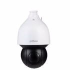 Immagine di Telecamera cctv DAHUA SD5A225GBHNR