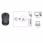 Immagine di EQUIP EQUIP - MOUSE OTTICO WIRELESS COMFORT 1200DPI Ner 245111
