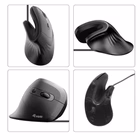 Immagine di EQUIP EQUIP - MOUSE OTTICO VERTICALE ERGONOMICO USB-C, 7 245119