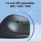 Immagine di EQUIP EQUIP - MOUSE WIRELESS ERGONOMICO RICARICABILE A D 245120