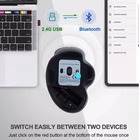 Immagine di EQUIP EQUIP - MOUSE ERGONOMICO RICARICABILE DUAL-MODE W 245121