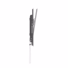 Immagine di 43 -95 tilt slim tv wall mount bra