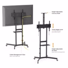 Immagine di 37 -70 economy tv trolley camera