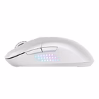 Immagine di Versa 300 elite w