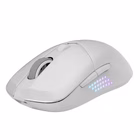 Immagine di Versa 300 elite w