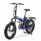 Immagine di E-bike 36v13ah 20x4p - x8 pro bl