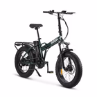 Immagine di E-bike 36v13ah 20x4p - x8 pro green