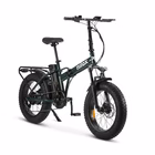 Immagine di E-bike 36v13ah 20x4p - x8 pro green