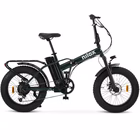 Immagine di E-bike 36v13ah 20x4p - x8 pro green