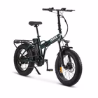 Immagine di E-bike 36v13ah 20x4p - x8 pro green