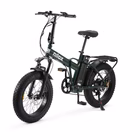 Immagine di E-bike 36v13ah 20x4p - x8 pro green