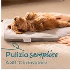 Immagine di Pad piccolo pp210 lilli