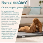 Immagine di Pad grande pp220 sammy