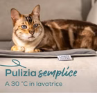 Immagine di Pad grande pp220 sammy