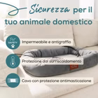 Immagine di Cuccia pp250 kira