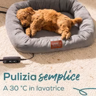 Immagine di Cuccia pp250 kira