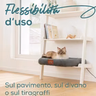 Immagine di Cuccia pp250 kira