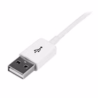 Immagine di Cavo di prolunga USB 2.0 da 1m