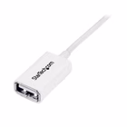 Immagine di Cavo prolunga usb2.0 da a ad a