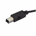 Immagine di Startech cavo USB-C a usb-b da 2m - m/m - cavo stampante USB 2.0 tipo c a usb-b - cavo USB - USB-C