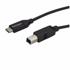 Immagine di Startech cavo USB-C a usb-b da 2m - m/m - cavo stampante USB 2.0 tipo c a usb-b - cavo USB - USB-C