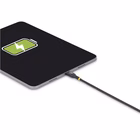 Immagine di Cavo di ricarica USB-C 240w