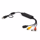 Immagine di Acquisizione s-video/composito USB