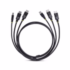 Immagine di Cavo kvm doppio dp/usb